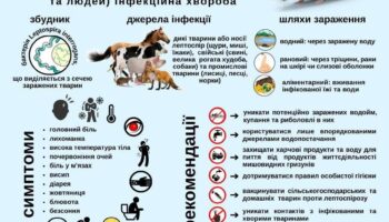 ГОСТРА ІНФЕКЦІЙНА ХВОРОБА, ПОВ’ЯЗАНА ІЗ КУПАННЯМ: ЩО ВІДОМО ПРО ЛЕПТОСПІРОЗ ТА ЯК ВБЕРЕГТИСЯ?