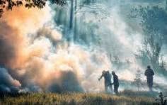 ЯК ПЕРЕЖИТИ ЗАДИМЛЕННЯ ПІСЛЯ МАСШТАБНОЇ ПОЖЕЖІ