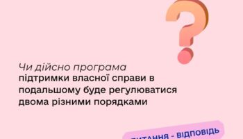 Чи дійсно програма підтримки власної справи в подальшому буде регулюватися двома різними порядками?